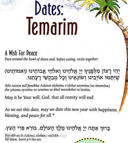 Rosh hashanah customs, Jewish holidays, new year, apples, dates, poemgranates